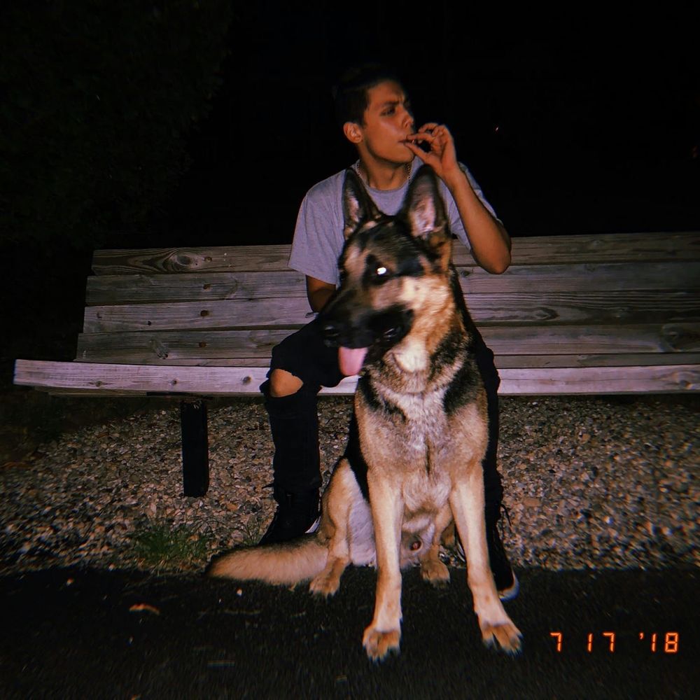 Meet your Posher, Vincent